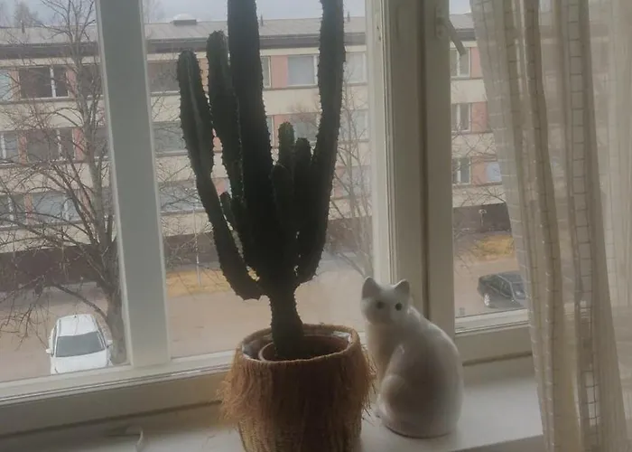 Yksioe Laehellae Kirjurinluotoa *